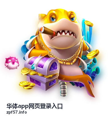 华体app网页版功能分区说明配图