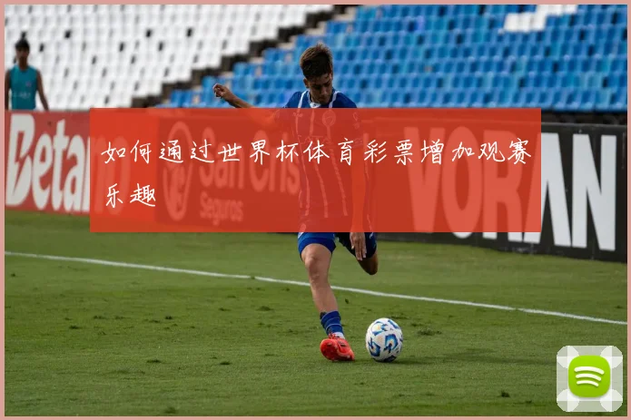 如何通过世界杯体育彩票增加观赛乐趣