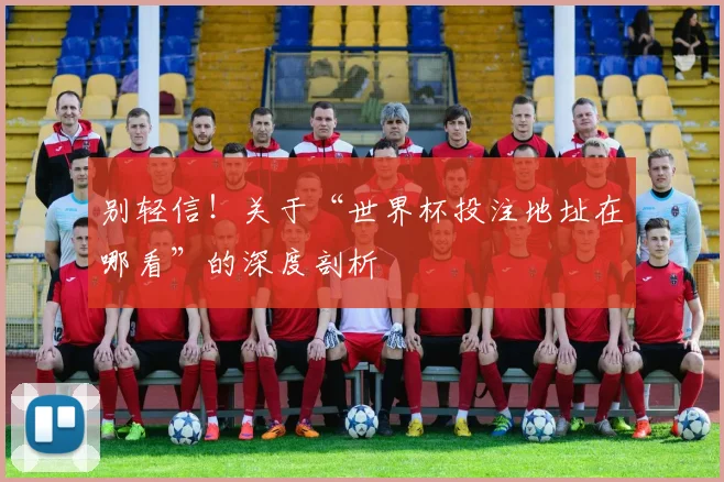 别轻信！关于“世界杯投注地址在哪看”的深度剖析