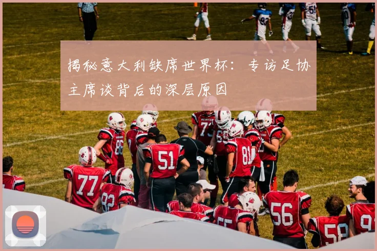 揭秘意大利缺席世界杯：专访足协主席谈背后的深层原因