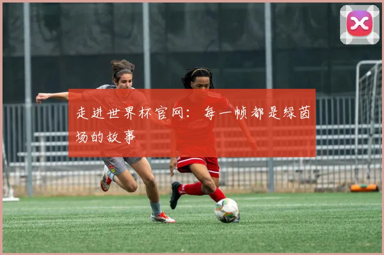 走进世界杯官网：每一帧都是绿茵场的故事