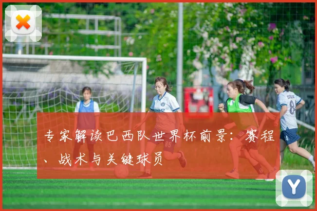 专家解读巴西队世界杯前景：赛程、战术与关键球员