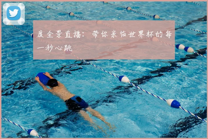 度全景直播：带你亲临世界杯的每一秒心跳
