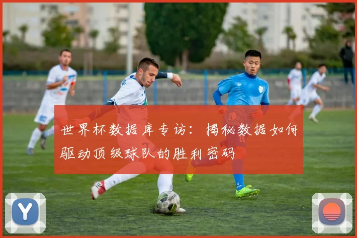 世界杯数据库专访：揭秘数据如何驱动顶级球队的胜利密码