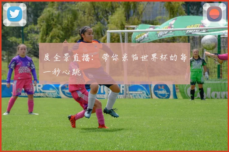 度全景直播：带你亲临世界杯的每一秒心跳